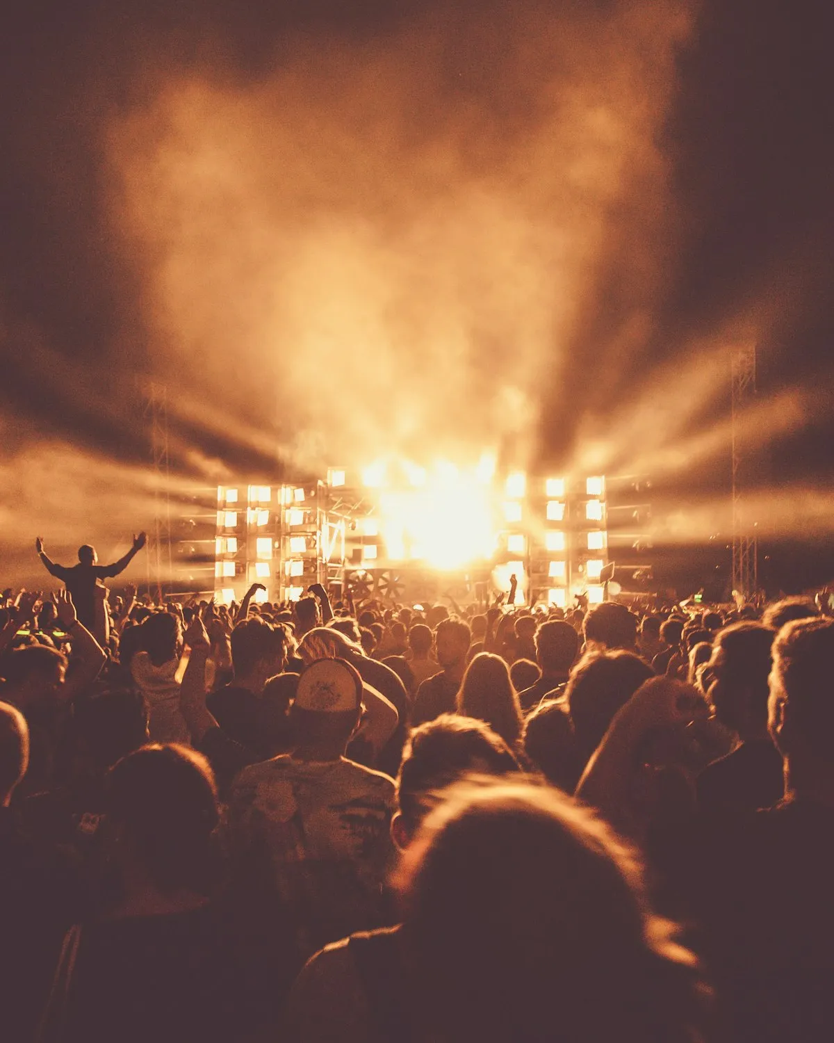 Silhouetted audience members with hands raised at a concert.
